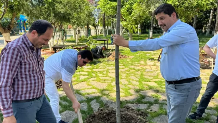 “Bir Ağaç da Sen Dik” Sloganıyla Ağaç Dikme Etkinliği Gerçekleştirildi