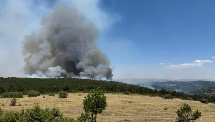 30 Hektarlık Ormanlık Alan Kül Oldu